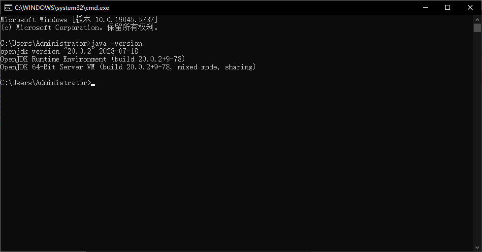 验证 java -version 命令输出